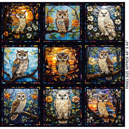 Owls of the Golden Hour
